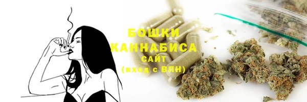 индика Россошь