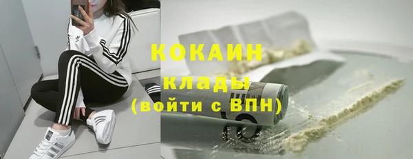 индика Россошь