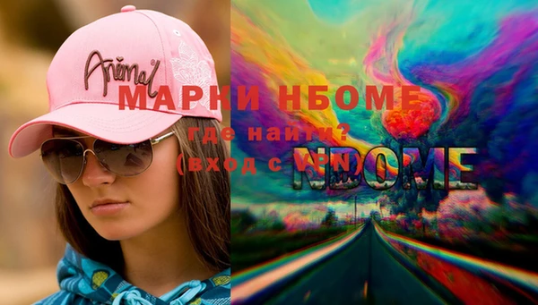 индика Россошь